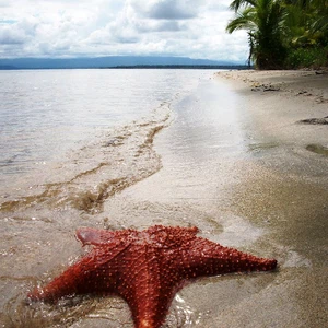 Panama.. un trait d&#39;union entre les Amériques et les deux océans qui rassemble tous les types de tourisme