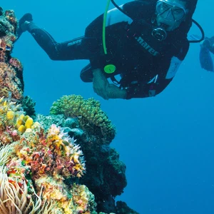 Île de Bintan, Indonésie.. L&#39;opportunité de s&#39;évader dans un monde magnifique