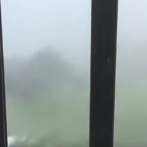 شاهد: الإعصار نيكول يضرب جزر برمودا بقوة 