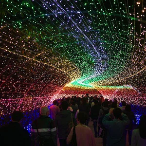 In pictures: Learn about the enchanting tunnel of lights in Japan!