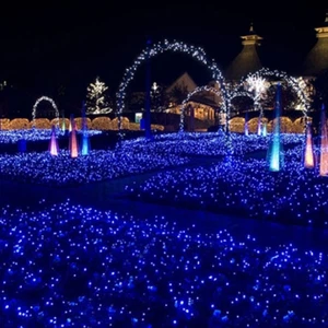 In pictures: Learn about the enchanting tunnel of lights in Japan!