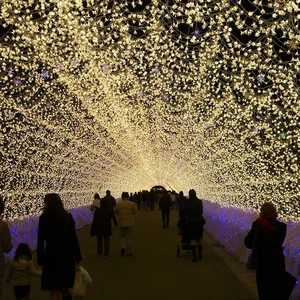 En images : découvrez le tunnel de lumières enchanteur du Japon !