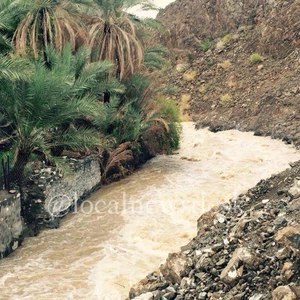 هطول أمطار متفاوتة الغزارة  قرى وادي بني عمر بولاية صحم  عبر صفحة الاخبار المحلية