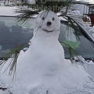 Pictures || This is how some people expressed their joy in snow making Snowman