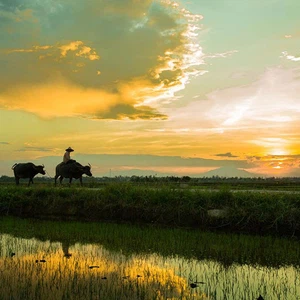 Hoi An.. A city that enchants you in Vietnam, and these are 10 photos