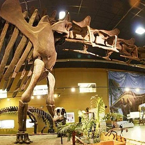 Are you looking for dinosaurs? These are the best museums that will take you into their world