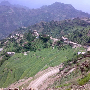 In pictures: Yemen, the beauty and diversity of nature