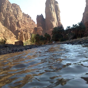 In pictures: the 10 most beautiful places for koshta in Saudi Arabia