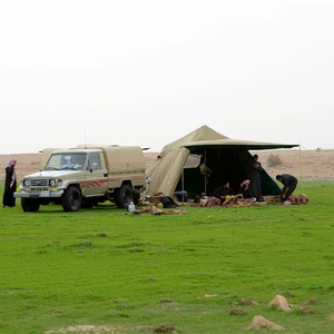 بالصور : رحلة استكشافية لواحة خضراء ظهرت وسط صحراء القصيم بعد الأمطار