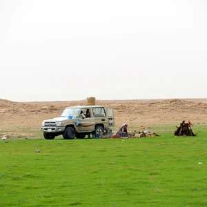 Photos : Un voyage d&#39;exploration dans une oasis de verdure apparue au milieu du désert de Qassim après les pluies