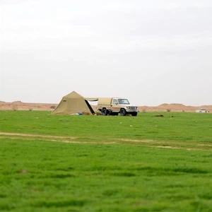 Pictures: An exploration trip to a green oasis that appeared in the middle of the Qassim desert after the rains