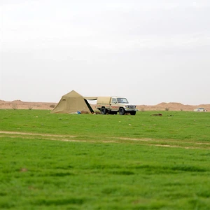 Photos : Un voyage d&#39;exploration dans une oasis de verdure apparue au milieu du désert de Qassim après les pluies