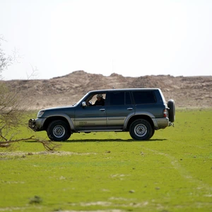 Pictures: An exploration trip to a green oasis that appeared in the middle of the Qassim desert after the rains