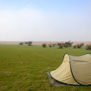 Photos : Un voyage d&#39;exploration dans une oasis de verdure apparue au milieu du désert de Qassim après les pluies