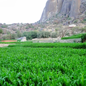 En images, le mont Shada, en bas, embrasse une belle `cicatrice`.