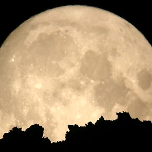 إذا رأيت القمر يُشرق بدراً فاعرف بأن أمامك الليل بطوله 