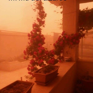 مشاهد من عاصفة رملية فرضت اللون الأحمر القاتم على الصحراء الأردنية نهار الأحد