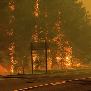 حرائق مرعبة تجتاج غابات كاليفورنيا