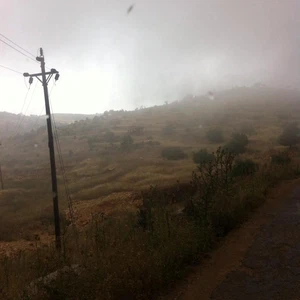 أمطار في مُحافظة عجلون عبر أحمد خبّاص
