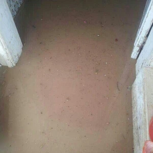 الأمطار تداهم بعض المنازل