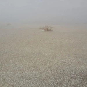 بالصور : موجة ضباب كثيف تُغطي مساحة مئات آلاف الكيلومترات من أراضي السعودية
