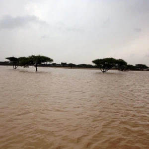 سيول في مناطق واسعة بعد جولة أمطار شديدة
