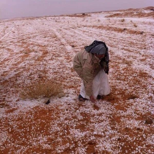 بردية شرق طريف في الحدود الشمالية