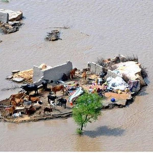 صور مؤلمة من فيضانات باكستان.