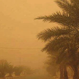 أمطار غزيرة تداهم العاصمة التونسية
