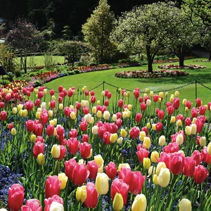 In pictures: one of the most beautiful gardens in the world