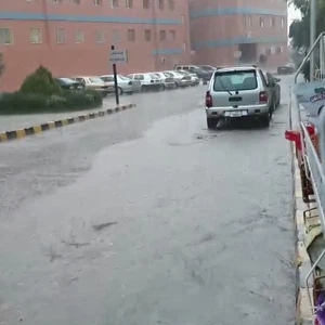 أمطار جامعة البتراء - منير