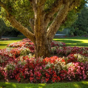 En images : l&#39;un des plus beaux jardins du monde