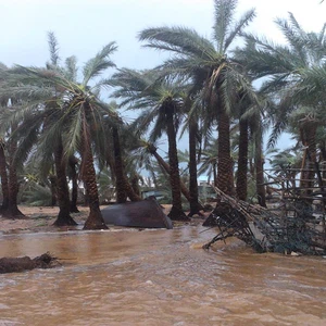 جزيرة سقطرى.. دمارُ واسع بعد إعصارين في أسبوع واحد 