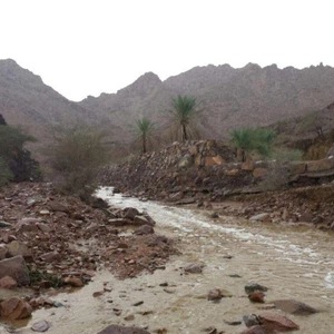 بالصور: بَرَد وأمطار غزيرة على المدينة المنورة عصر الأحد 