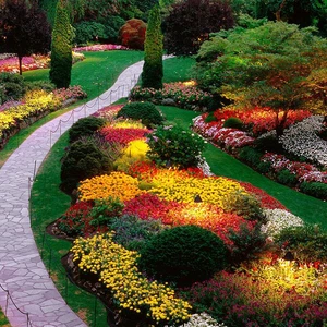 بالصور : واحدة من أجمل حدائق العالم 