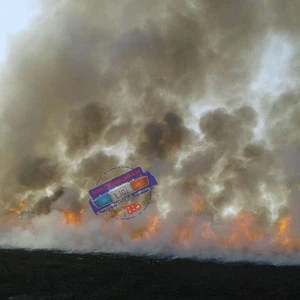 بسبب الحر..حريق يلتهم 40 دونماً من مزارع القمح في إربد 