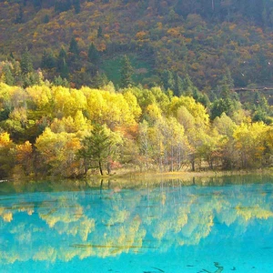 De magnifiques photos... font de l&#39;automne la plus belle saison de l&#39;année en Chine