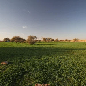 In pictures: Wadi Al-Hajrah in Al-Baha turns from a barren desert into a green paradise after the rains