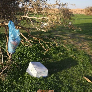 En images: Wadi Al-Hajrah à Al-Baha passe d&#39;un désert aride à un paradis vert après les pluies