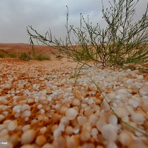 حبات البرد تزين ارض النفود 