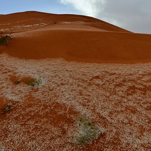 سبحان الله .. مشهد رائع لتناغم الطبيعة 