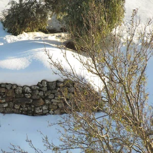  بالصور: مناظر مدهشة لبقايا الثلوج في مرتفعات غرب عمّان رغم مضي أسبوع على ابتعاد العاصفة