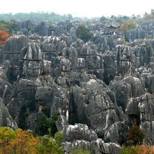 الصين- غابة الصخور عمرها 280 مليون سنة