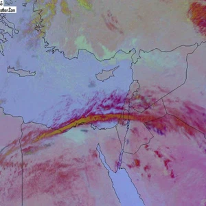 تعرف بالصور على أصغر طائر في العالم.. طائر النحلة الطنان