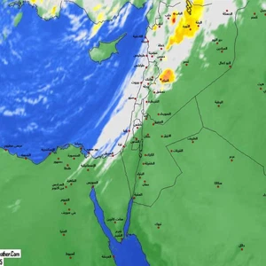 ضباب كثيف على عرعر