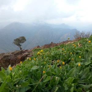 صورة للمنطقة من اعلى الجبل 