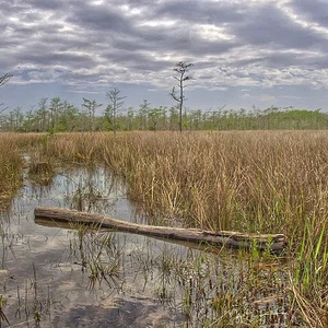 In pictures: the five most important wetlands in the world