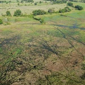 En images : les cinq zones humides les plus importantes du monde