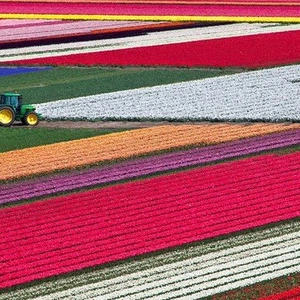 En images : les endroits les plus étranges et les plus beaux de la terre que beaucoup ne connaissent pas