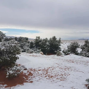 بالصور: ناسا تنشر صورا لتساقط الثلوج في الصحراء الجزائرية